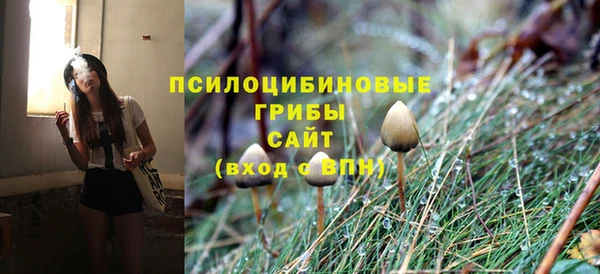 гашик Волоколамск