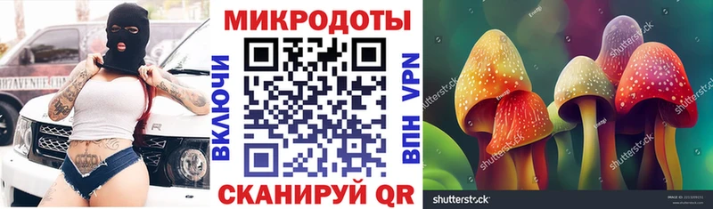 Псилоцибиновые грибы Psilocybe  это наркотические препараты  Макарьев 